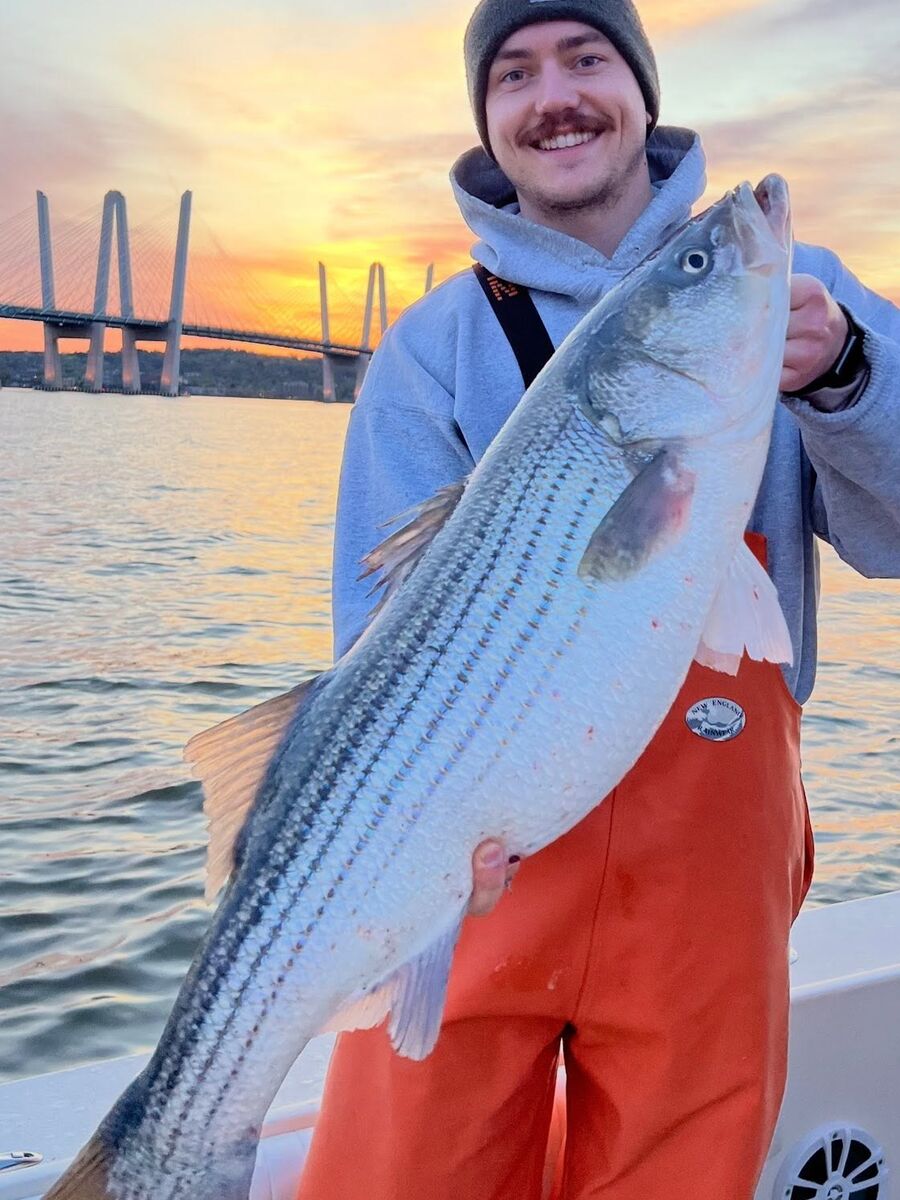 A striped bass held up at sunset with the bridge behind