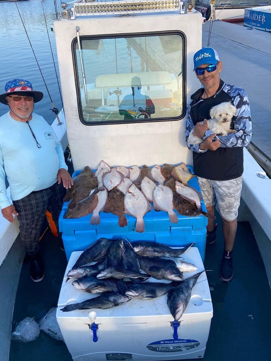 A cooler of sea bass on the deck